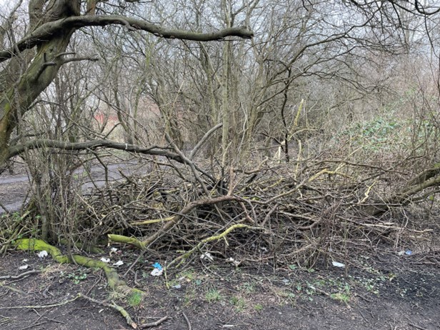 Photo of a wooded area with numerous fallen and broken tree branches scattered across the ground. Sparse leafless trees dominate the scene, with some litter visible among the branches and soil.