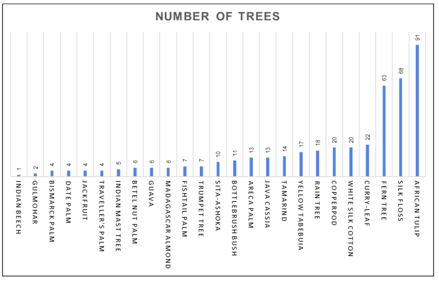 Bar chart showing number of trees for various species with species names on horizontal axis and tree counts on vertical axis. African Tulip has highest count at 45, followed by Silk Trees at 38 and Fient Trees at 30, while Indian Beech and Guava have lowest counts at 1 and 3 respectively.