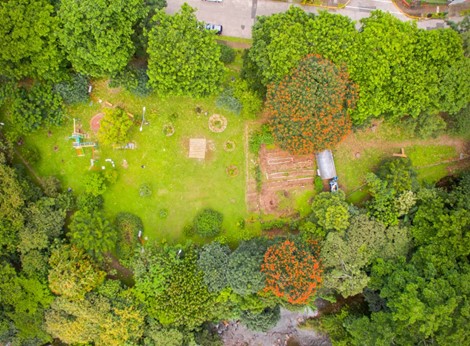 Aerial photograph of a green park area surrounded by dense trees with two prominent trees featuring orange flowers. The park includes playground equipment, a small garden plot, and a pathway, highlighting a peaceful recreational and natural space.
