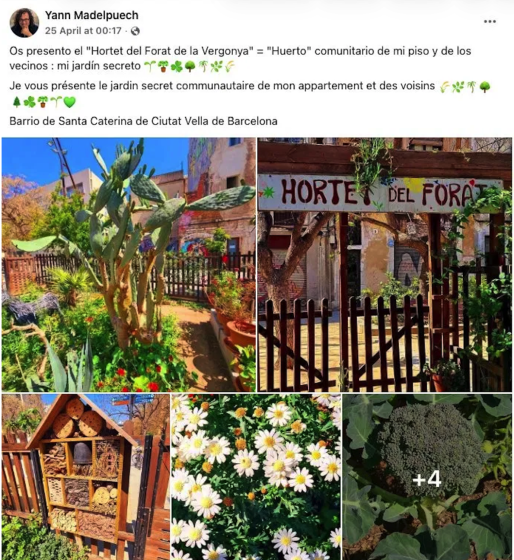 A collage of six photographs showcasing a community garden named "Hortet del Forat" in Barcelona's Santa Caterina neighborhood. Photos include a cactus plant, a wooden sign with the garden's name, an insect hotel, blooming white daisies, and close-ups of leafy greens, highlighting garden diversity and communal nature.