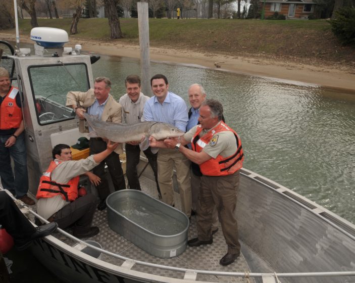 Photo of a group of six people on a boat holding a large fish, likely a sturgeon, over a metal tub filled with water. Several individuals wear orange life vests, and the background features a calm waterway with a grassy bank and trees.