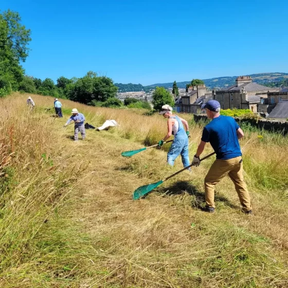 Photo showing a group of six people manually cutting and clearing tall grass on a sunny day in a rural area near houses and hills. The scene highlights teamwork with individuals spaced out, using scythes and wearing casual outdoor clothing under a clear blue sky.