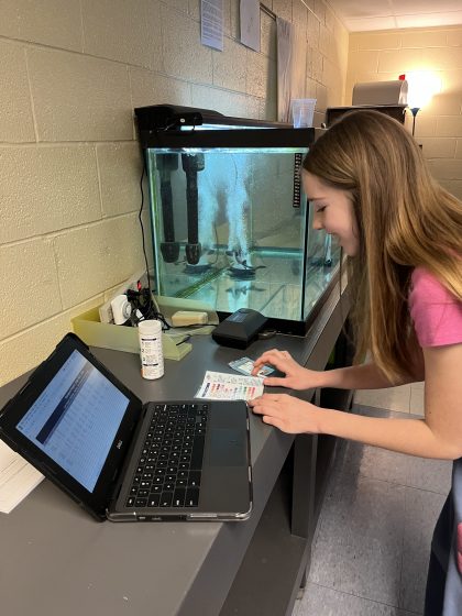 Photo of a young girl interacting with a laptop and holding a small card near a fish tank on a counter.