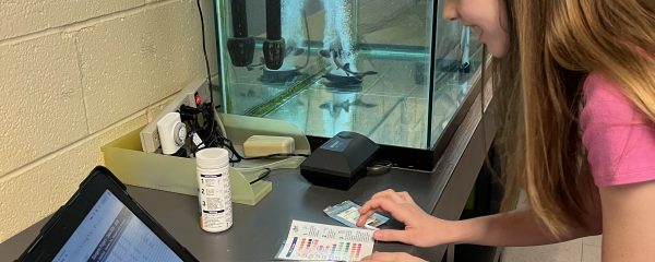 How Lake Sturgeon Are Teaching Children