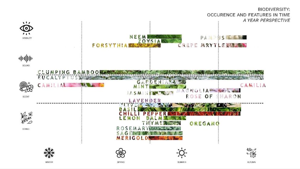 A horizontal bar chart visualizes biodiversity occurrence and features over time, divided into four categories: vision, sound, scent, and taste, each represented by icons and labeled with plant names. Bars use color-coded images of plants to indicate specific species like neem, zoysia, basil, and oregano