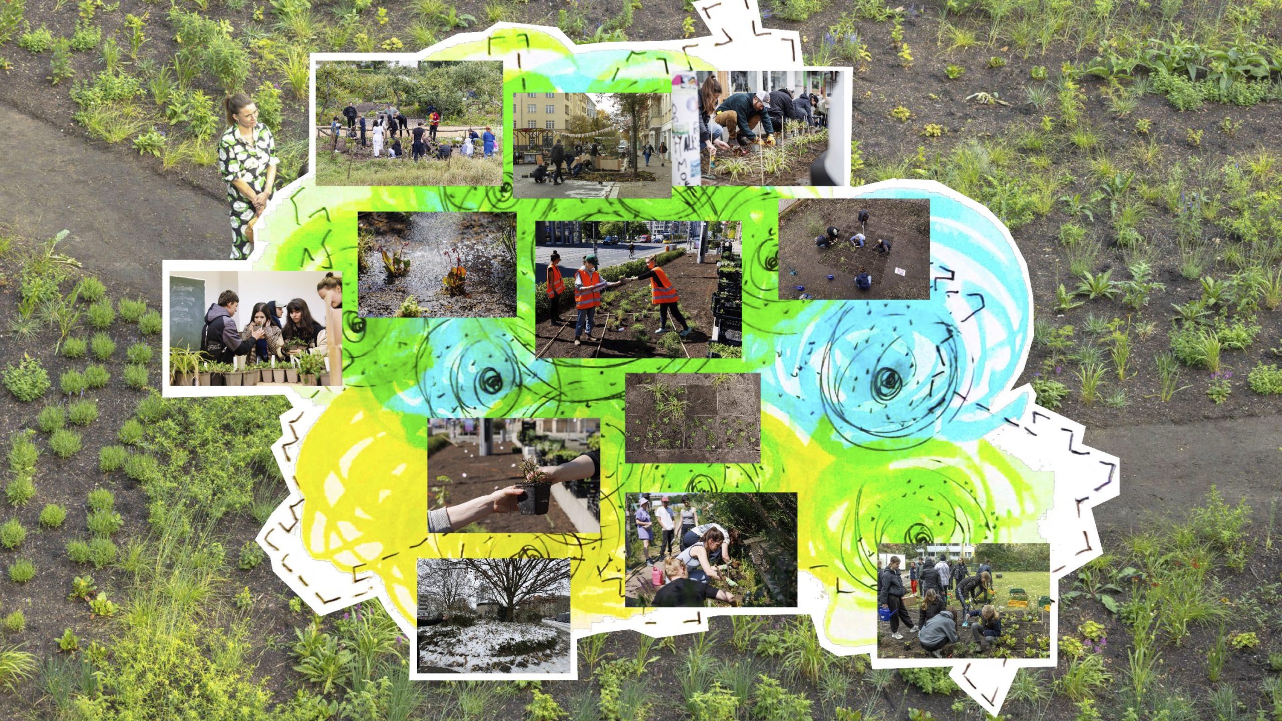 Collage of photos on a blue, yellow, and green colored background. The whole piece is overlaying a picture of a dirt path through a green field