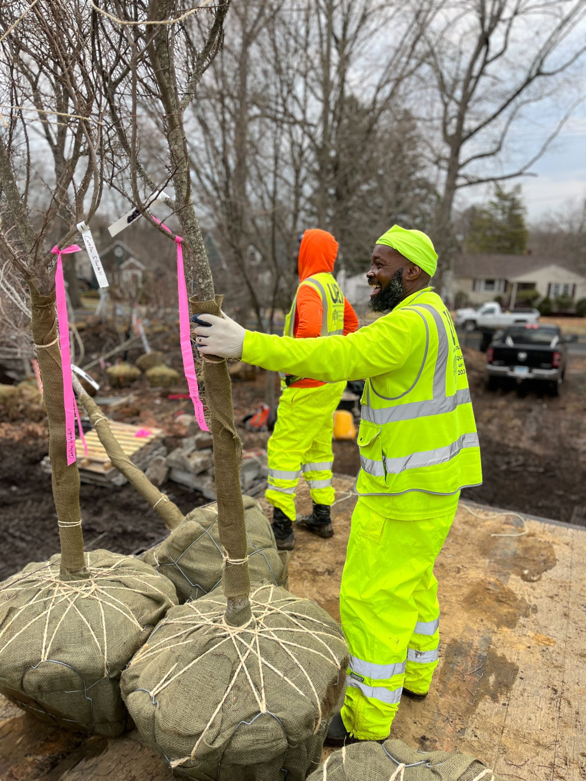Three Tree Communities in New Haven