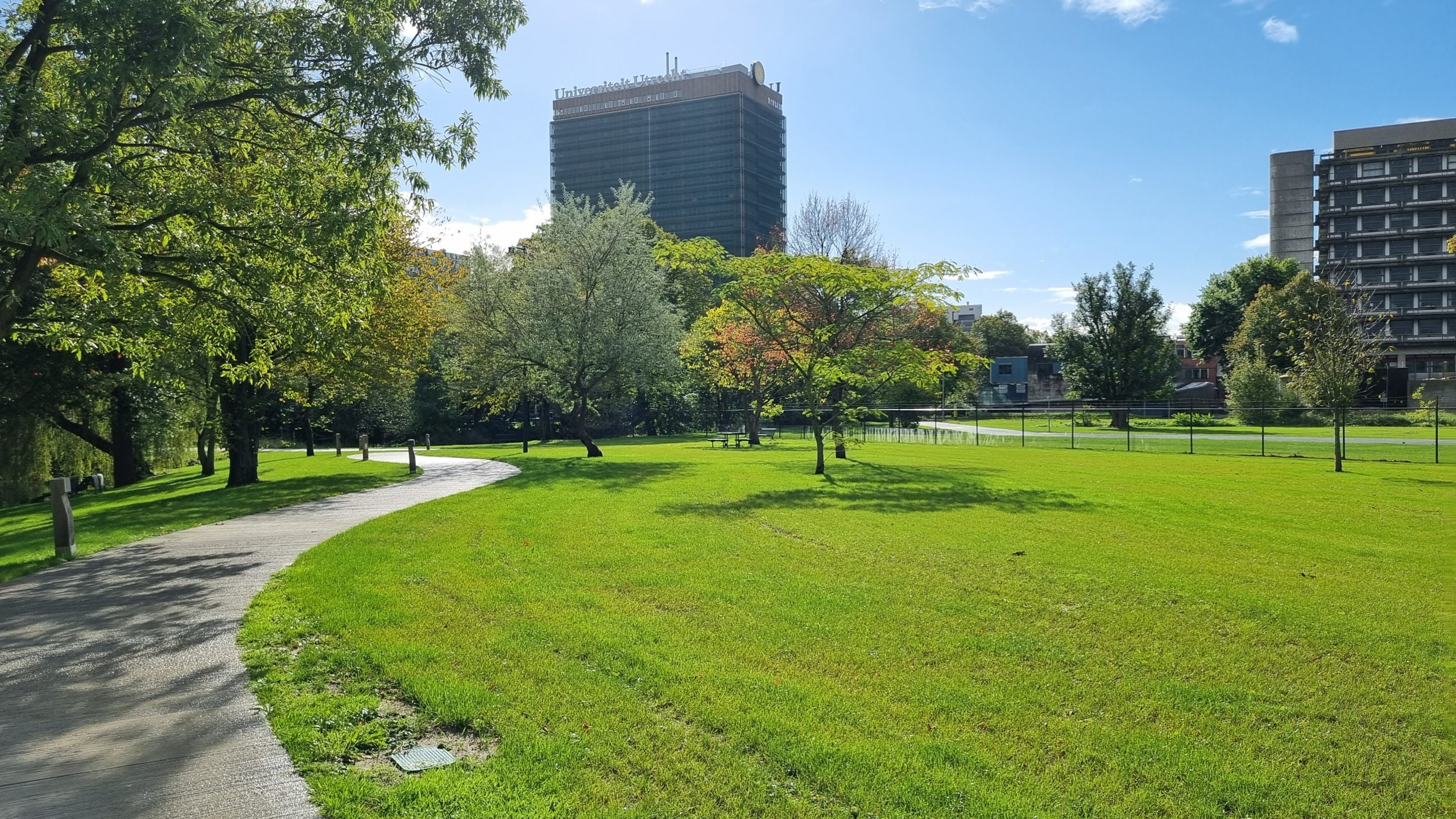 Photo of a green park area with a curved paved pathway, surrounded by trees with varying shades of green and some early autumn colors. Tall buildings are visible in the background under a clear blue sky