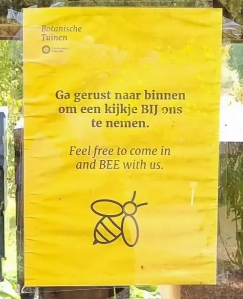 A photo of a yellow poster from Botanische Tuinen inviting visitors to come inside with a playful bee pun. The poster features bilingual text in Dutch and English and includes a simple black bee illustration at the bottom.