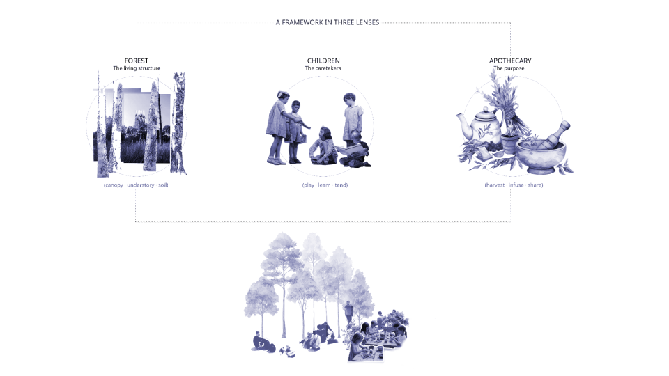 Diagram titled "A Framework in Three Lenses" illustrating three interconnected concepts: Forest (labeled "The living structure" with keywords canopy, understory, soil), Children (labeled "The caretakers" with keywords play, learn, tend), and Apothecary (labeled "The purpose" with keywords harvest, infuse, share). Each concept is represented by a distinct black-and-white illustration, with Forest showing trees, Children showing kids interacting, and Apothecary showing herbal tools, emphasizing relationships between environment, caretakers, and purpose.