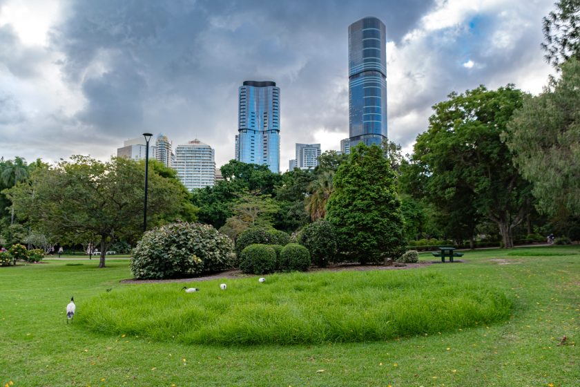 Photo of an urban park featuring lush green grass, various trees, and bushes with several white birds scattered on the lawn. Tall modern skyscrapers rise in the background under a cloudy sky.
