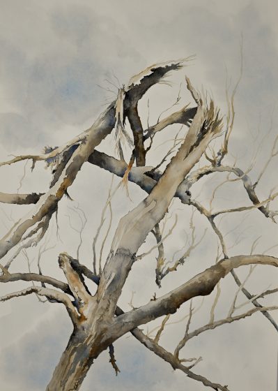 Watercolor painting of a leafless tree with multiple broken and jagged branches against a cloudy sky background.