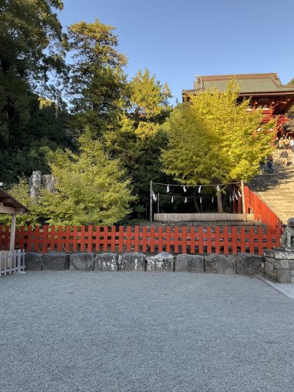 Photo of a traditional Japanese shrine area featuring a red wooden fence, stone steps, and vibrant yellow-green Ginkgo trees under a clear blue sky.