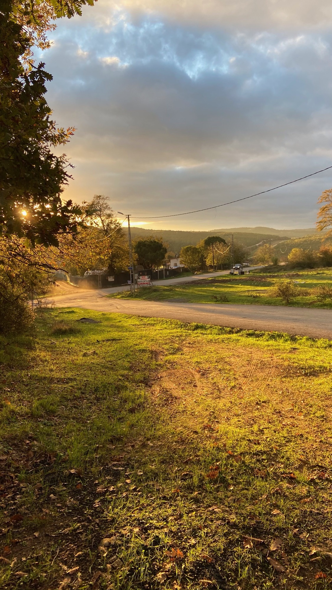Photo of a rural landscape during golden hour with sunlight filtering through trees on the left and casting long shadows on grassy ground. A paved road curves through the scene with houses, utility poles, and rolling hills visible under a partly cloudy sky.