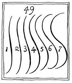 Hand-drawn diagram displays seven curved, roughly parallel vertical sections inside a rectangular border, labeled 1 through 7. Number 49 appears centered above the sections