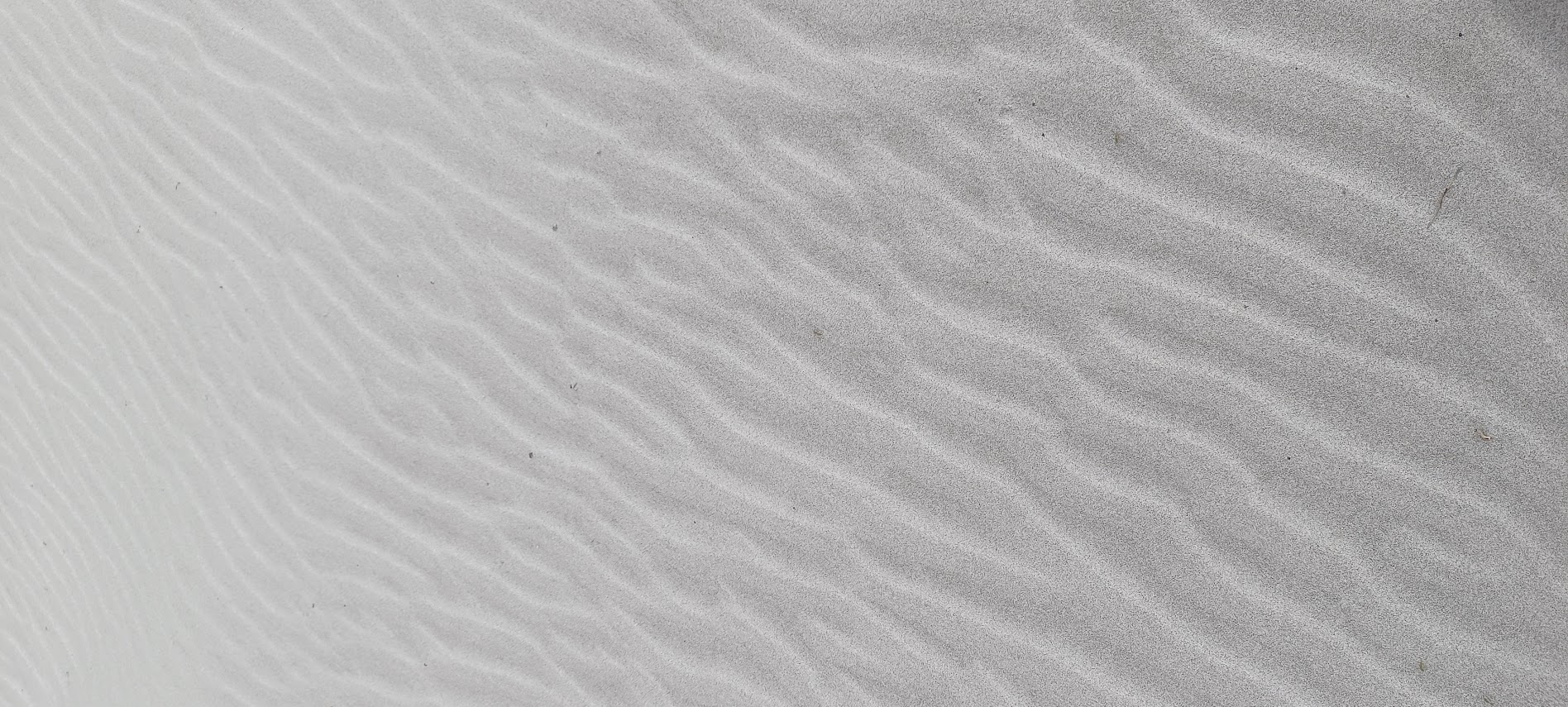 Photo showing fine, parallel ripples across a sandy surface. Light gray and dark gray bands create a textured pattern
