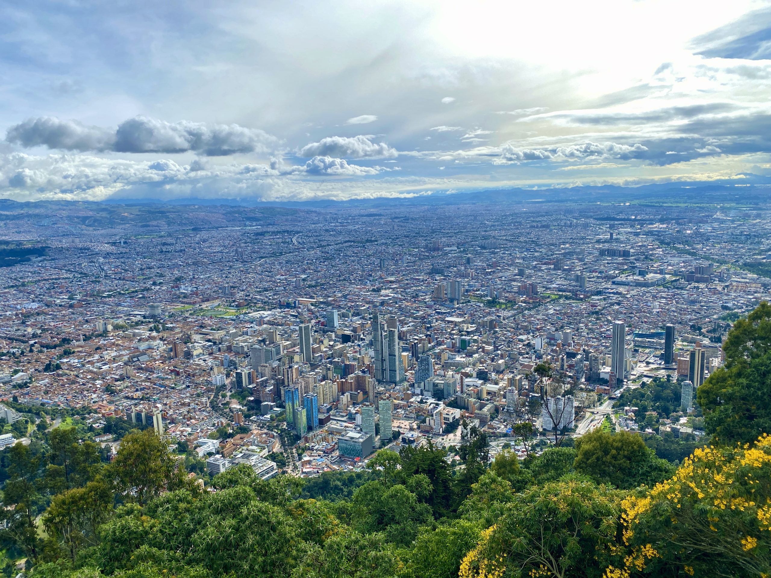 Photo showing sprawling urban cityscape viewed from a green hillside. Dense low-rise neighborhoods, clusters of tall buildings, distant mountains, dramatic clouds, and yellow flowering vegetation create notable contrast.