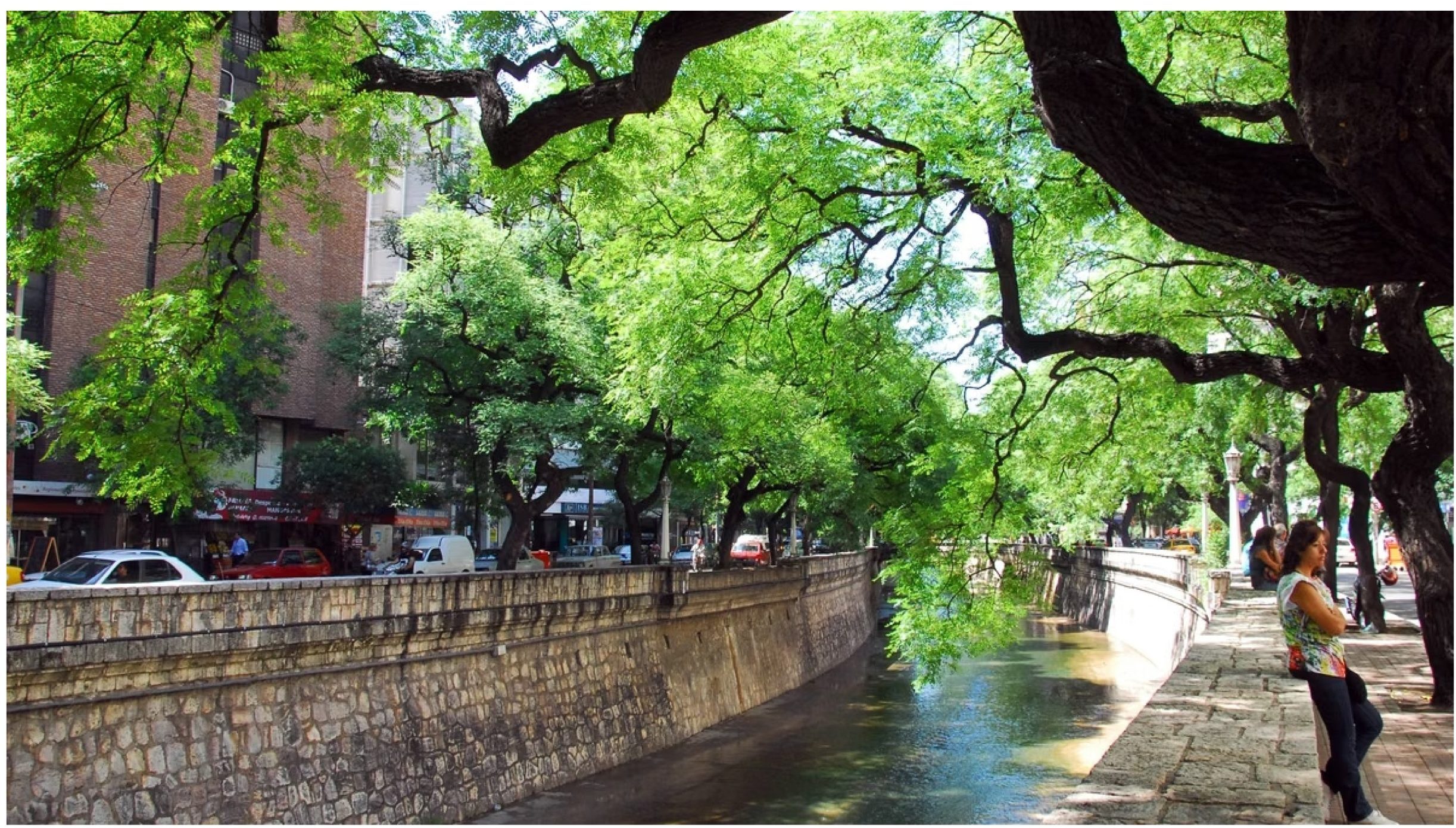 Photo of a tree-lined urban canal bordered by stone walls, shaded walkways, and surrounding buildings. Clear water, lush green branches, parked cars, and pedestrians highlight a peaceful city streetscape.