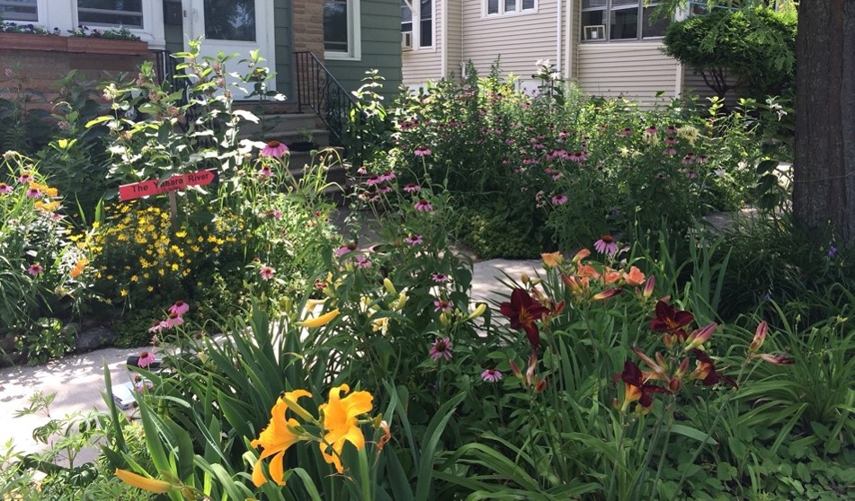 Photo of a densely planted residential garden showcasing colorful perennial flowers and ornamental foliage. Orange and burgundy daylilies, purple coneflowers, yellow blooms, shrubs, trees, walkway, house façades, and a small red garden sign create layered landscape design.