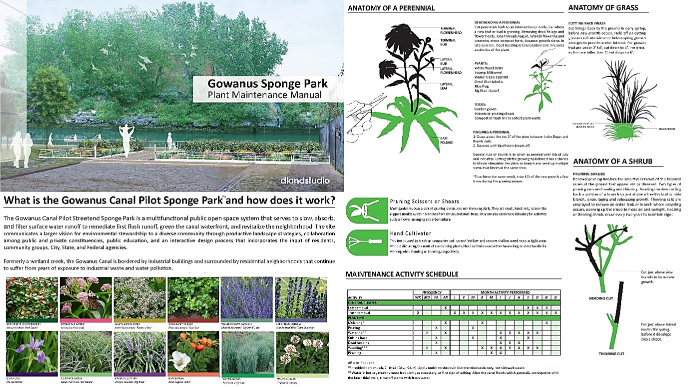 The image is a visual guide on how to deadhead perennials, detailing the anatomy of grass, when and how to cut back foliage, and the benefits of dead-heading for plant health and aesthetics.