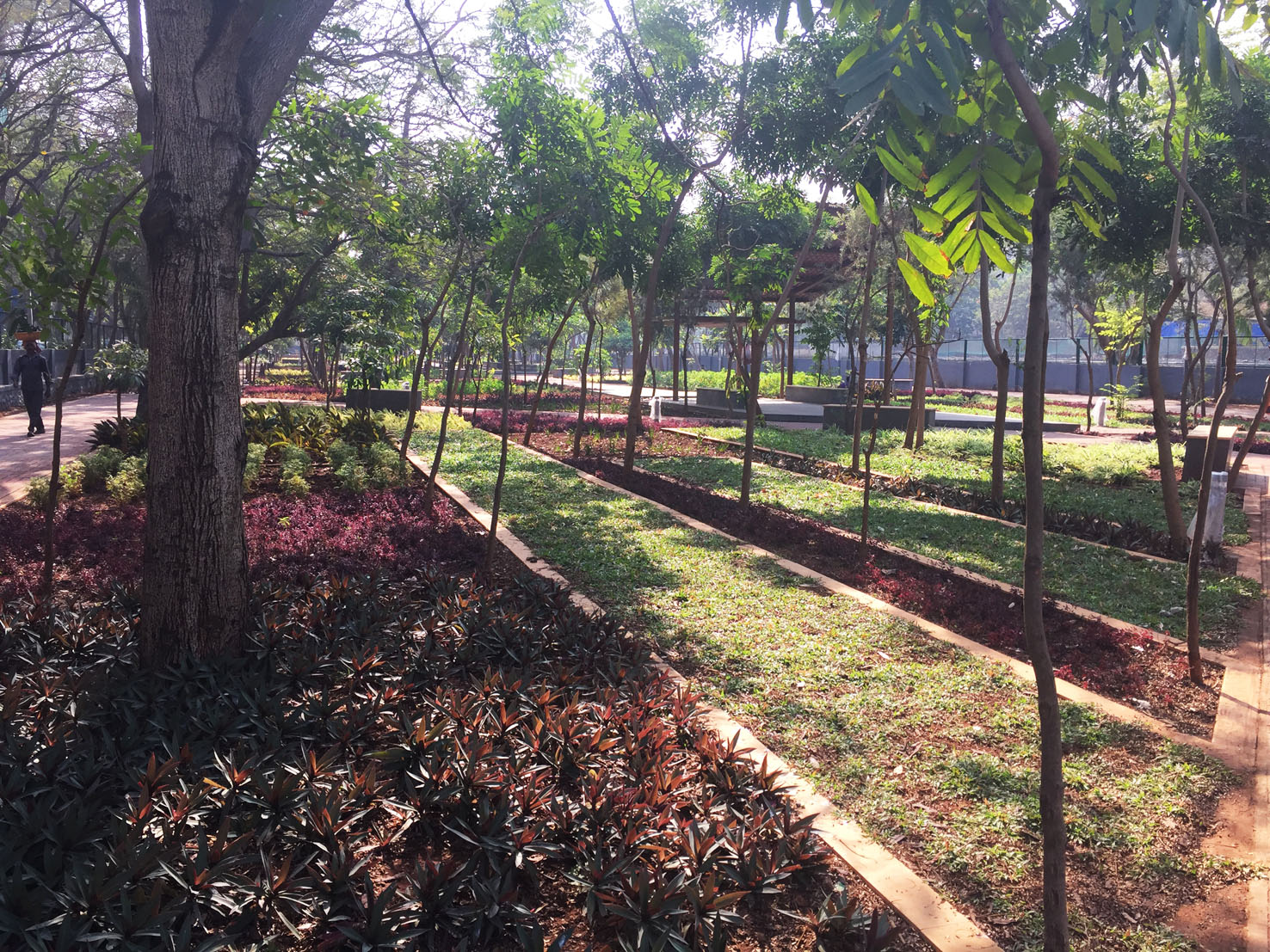 Photo of a landscaped park or garden with tree-lined paths, geometric planting beds, and dense green and reddish foliage. Sunlight filters through trees, while a pedestrian, benches, and a blue-gray building or fence appear in background.