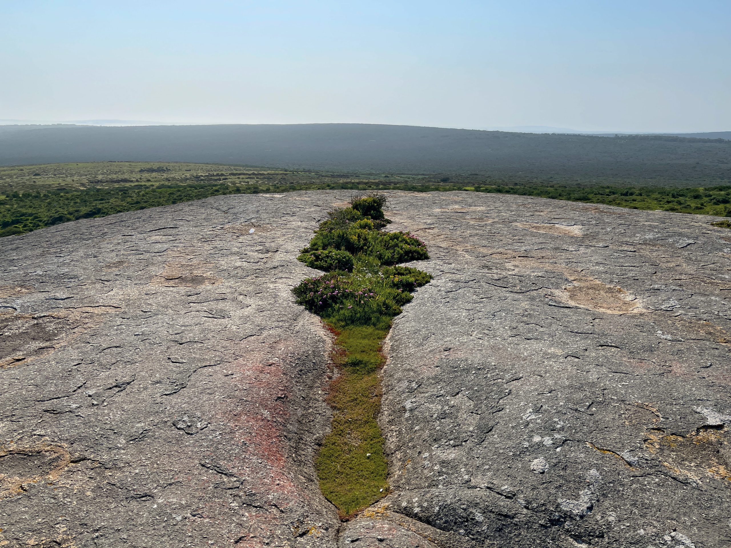 Photo of a broad, weathered granite outcrop within expansive green plateau landscape. A single, narrow moss-filled fissure with shrubs divides the rock surface, while hazy horizon and blue sky are in the background